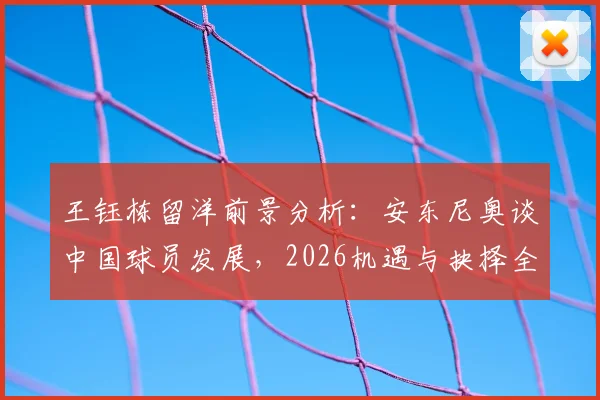 王钰栋留洋前景分析：安东尼奥谈中国球员发展，2026机遇与抉择全解析